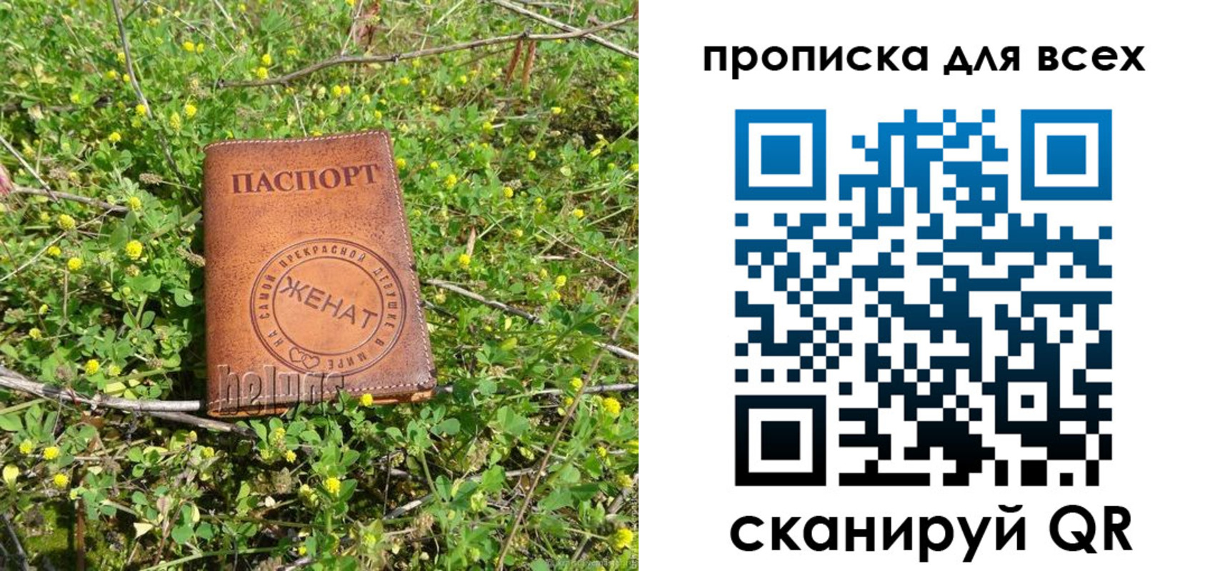 прописка поиск в Арске